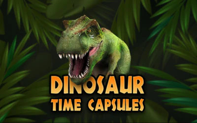 DINOSAUR TIME CAPSULES